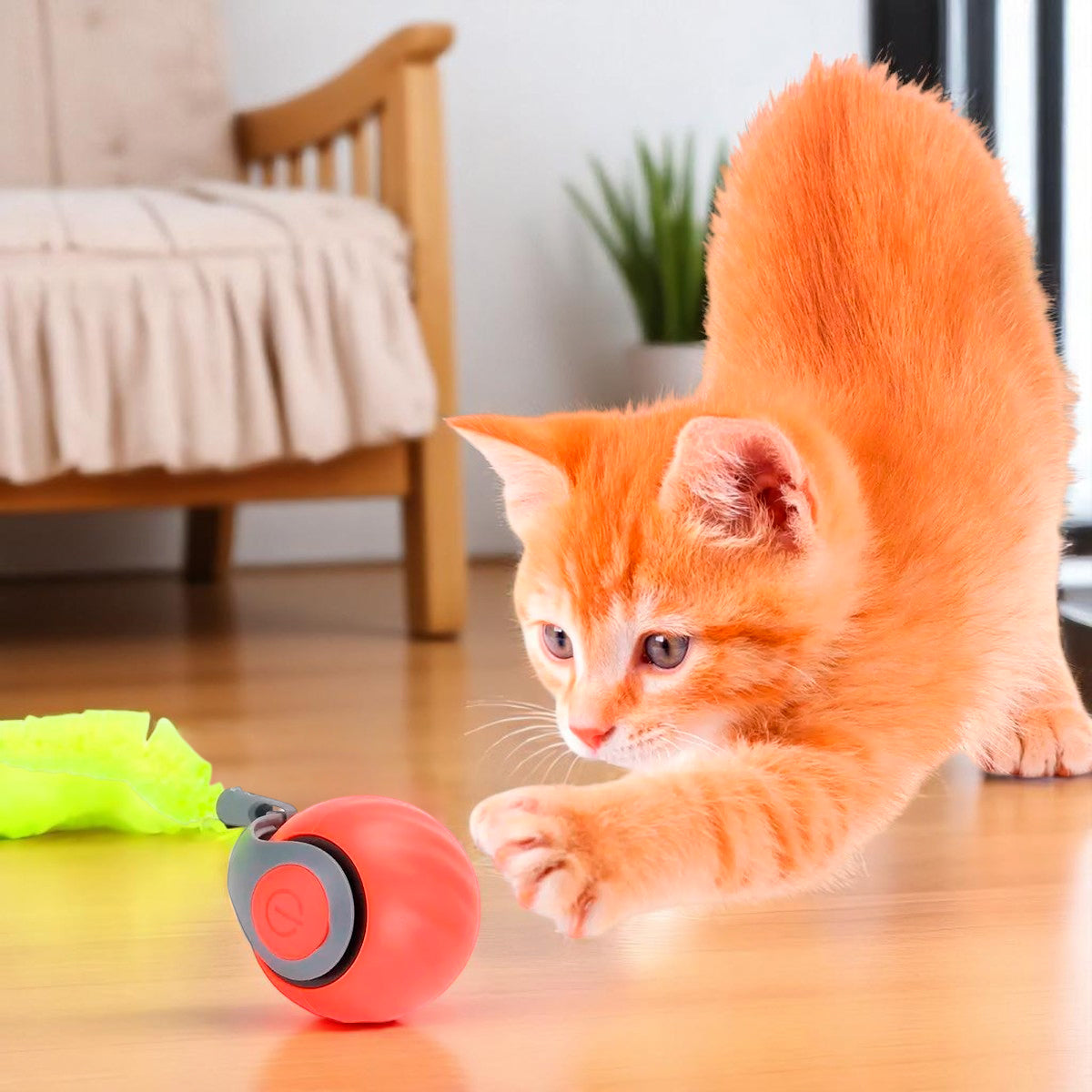 Juguete Interactivo Para Gatos Recargable Pelota Automática 490-181